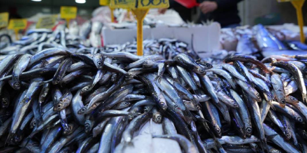 Fiyatı düştü, duyan koştu! Tezgahlarda 80 liradan kapış kapış satılıyor: Palamudun tahtını bile salladı 5